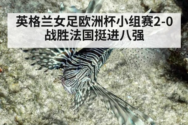 英格兰女足欧洲杯小组赛2-0战胜法国挺进八强