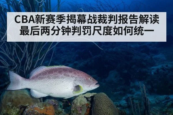CBA新赛季揭幕战裁判报告解读 最后两分钟判罚尺度如何统一